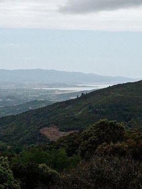location maison corse du sud